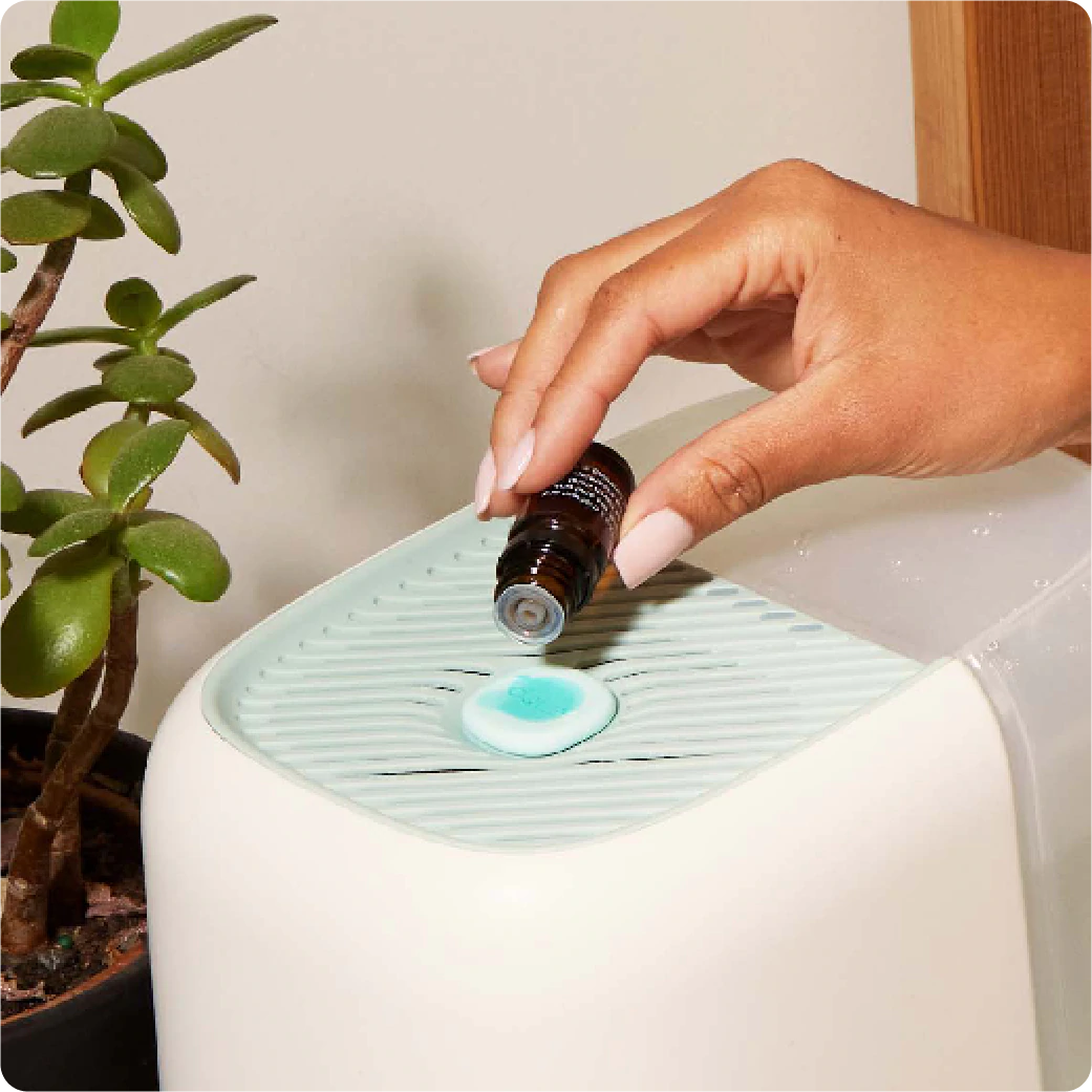 Bedside Humidifier Filter & Aroma - Image 3